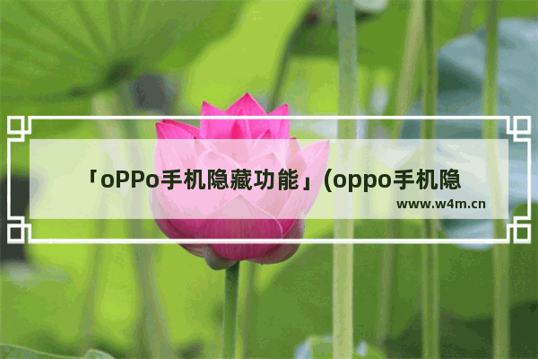 「oPPo手机隐藏功能」(oppo手机隐藏功能代码大全)