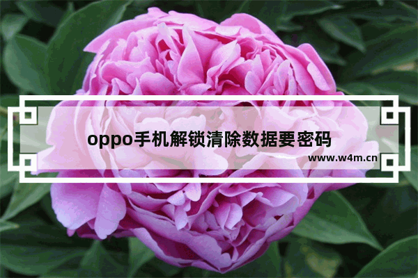 oppo手机解锁清除数据要密码