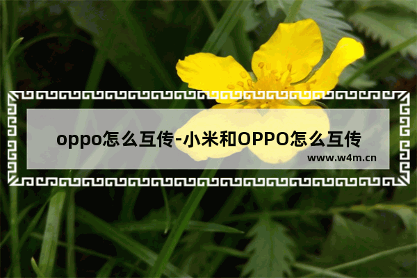 oppo怎么互传-小米和OPPO怎么互传照片