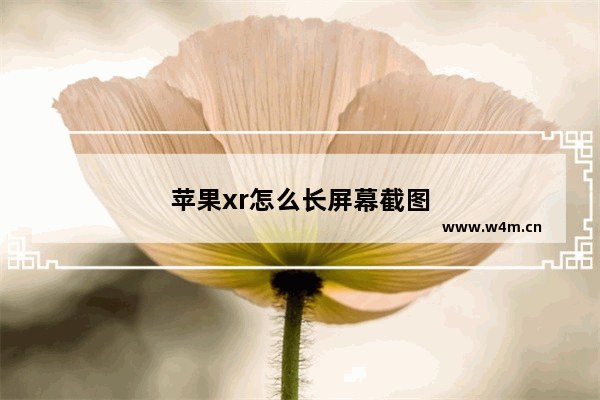 苹果xr怎么长屏幕截图