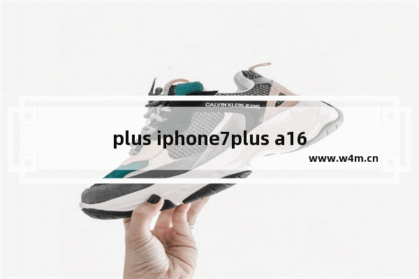 plus iphone7plus a1661是什么版本