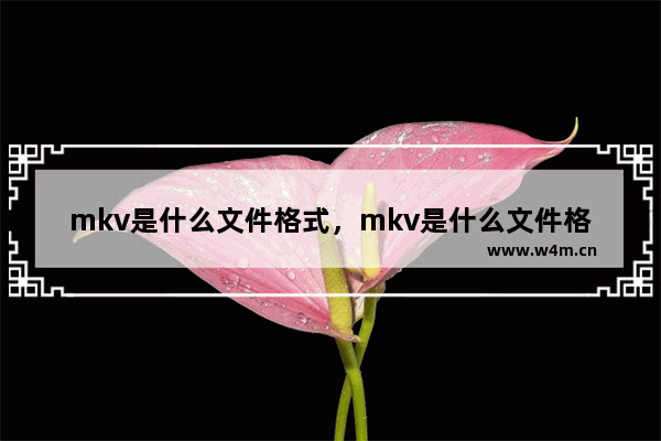 mkv是什么文件格式，mkv是什么文件格式用微信怎么打开