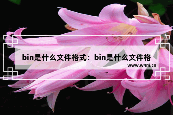 bin是什么文件格式：bin是什么文件格式视频