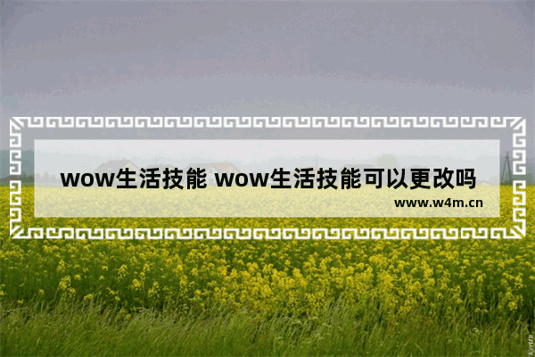 wow生活技能 wow生活技能可以更改吗