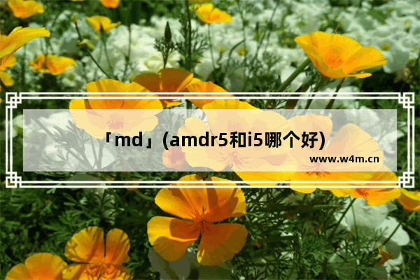 「md」(amdr5和i5哪个好)