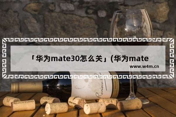 「华为mate30怎么关」(华为mate30怎么关闭自动更新系统)