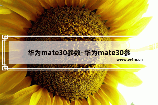 华为mate30参数-华为mate30参数详细参数配置