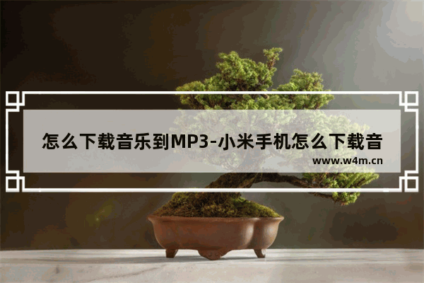 怎么下载音乐到MP3-小米手机怎么下载音乐到mp3下载