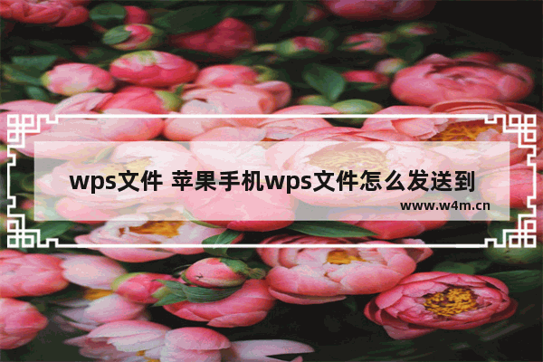 wps文件 苹果手机wps文件怎么发送到qq邮箱