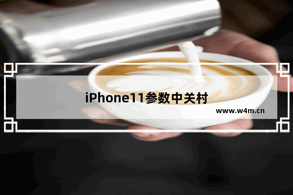 iPhone11参数中关村