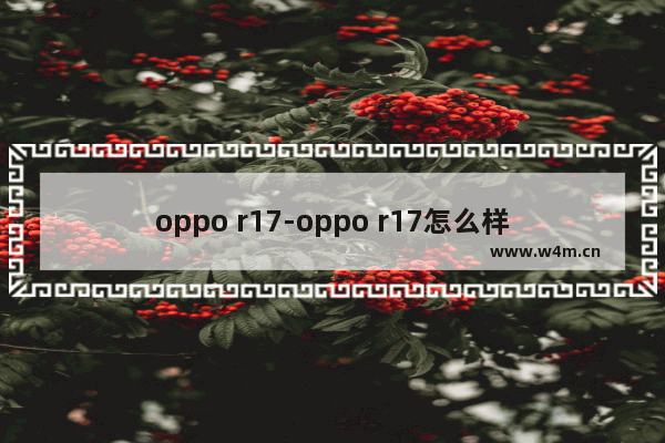 oppo r17-oppo r17怎么样截屏