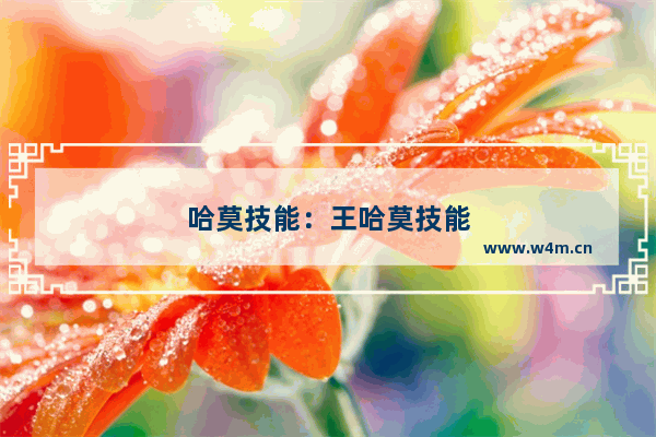 哈莫技能：王哈莫技能