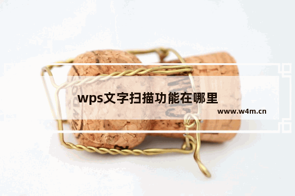 wps文字扫描功能在哪里