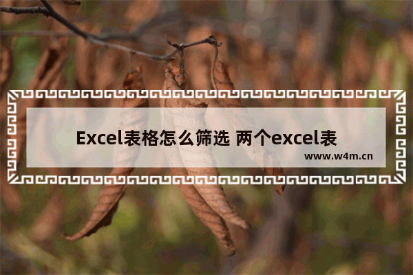 Excel表格怎么筛选 两个excel表格怎么筛选出相同内容