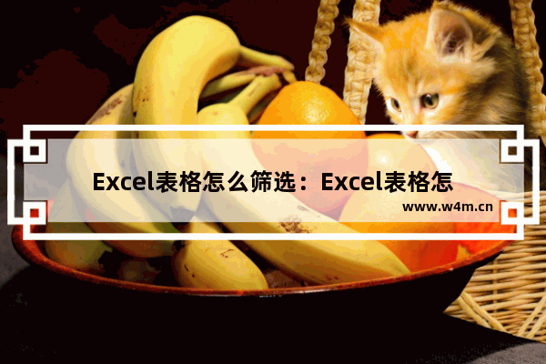 Excel表格怎么筛选：Excel表格怎么筛选内容复制到旁边去