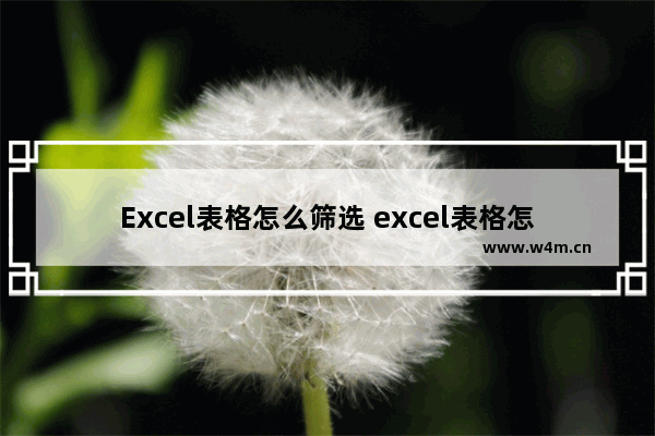 Excel表格怎么筛选 excel表格怎么筛选内容归类