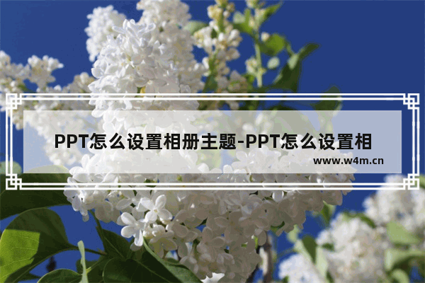 PPT怎么设置相册主题-PPT怎么设置相册主题为花纹