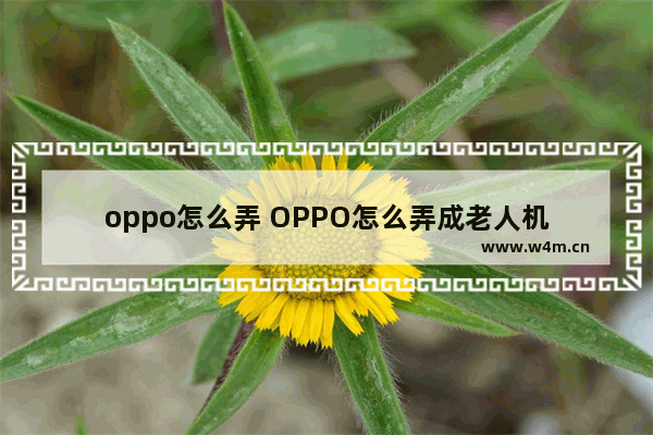 oppo怎么弄 OPPO怎么弄成老人机