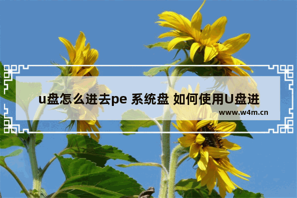 u盘怎么进去pe 系统盘 如何使用U盘进入PE系统盘