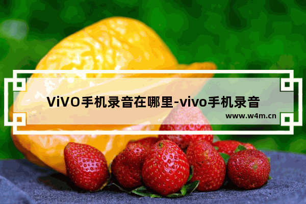 ViVO手机录音在哪里-vivo手机录音在哪里设置方法