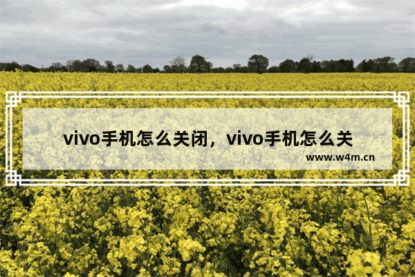 vivo手机怎么关闭，vivo手机怎么关闭屏幕自动旋转