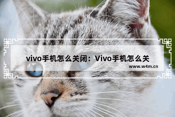 vivo手机怎么关闭：Vivo手机怎么关闭应用推荐