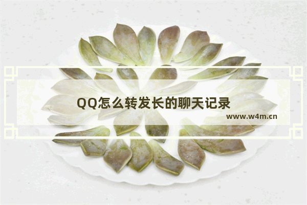 QQ怎么转发长的聊天记录