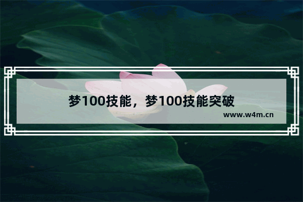 梦100技能，梦100技能突破