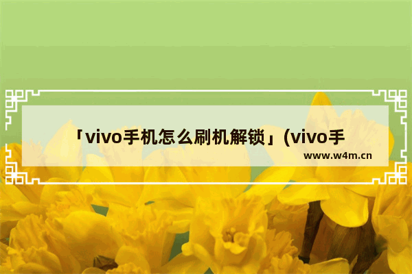 「vivo手机怎么刷机解锁」(vivo手机怎么刷机解锁账户密码)