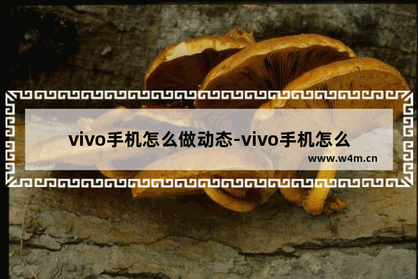 vivo手机怎么做动态-vivo手机怎么做动态壁纸