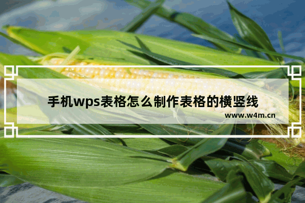 手机wps表格怎么制作表格的横竖线