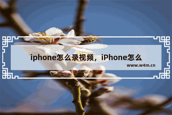 iphone怎么录视频，iPhone怎么录视频拍照