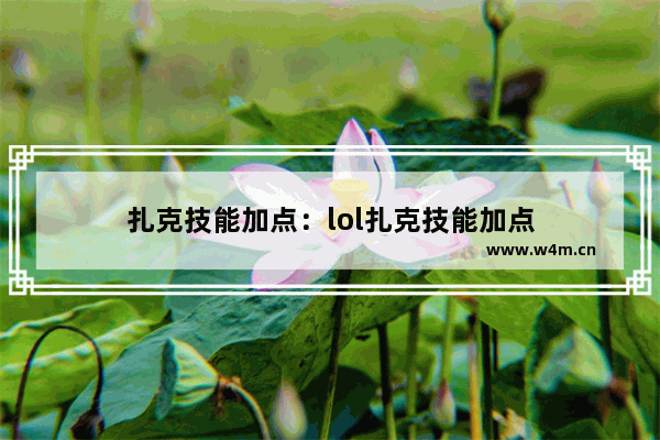 扎克技能加点：lol扎克技能加点