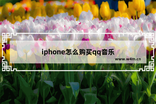 iphone怎么购买qq音乐