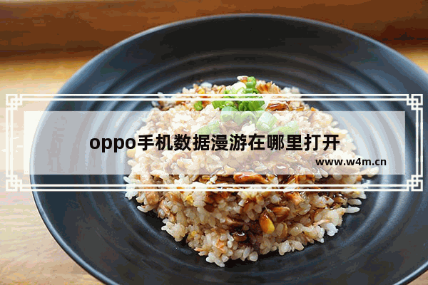 oppo手机数据漫游在哪里打开