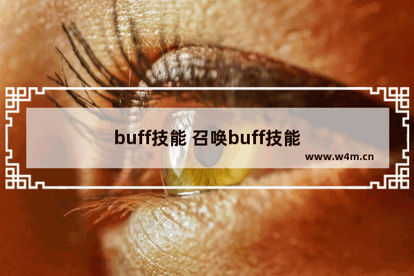 buff技能 召唤buff技能