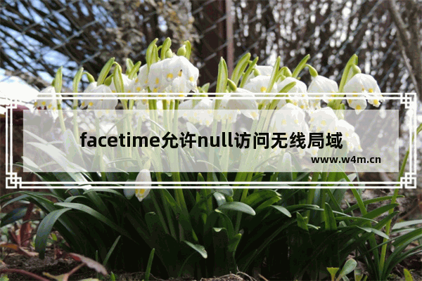 facetime允许null访问无线局域网 苹果facetime允许null访问无线局域网