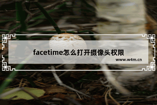 facetime怎么打开摄像头权限