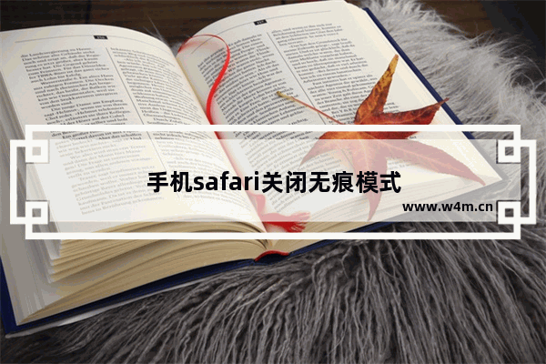 手机safari关闭无痕模式