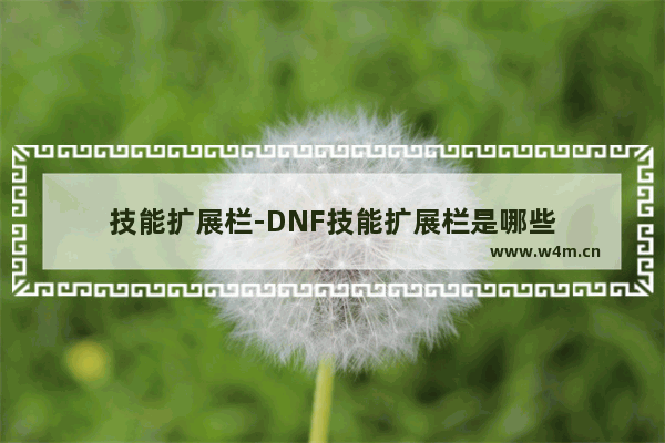 技能扩展栏-DNF技能扩展栏是哪些