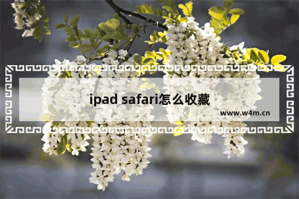 ipad safari怎么收藏