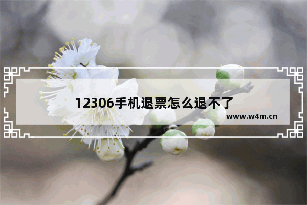 12306手机退票怎么退不了