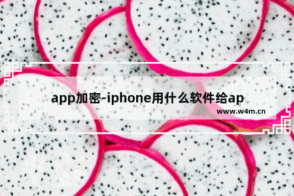 app加密-iphone用什么软件给app加密