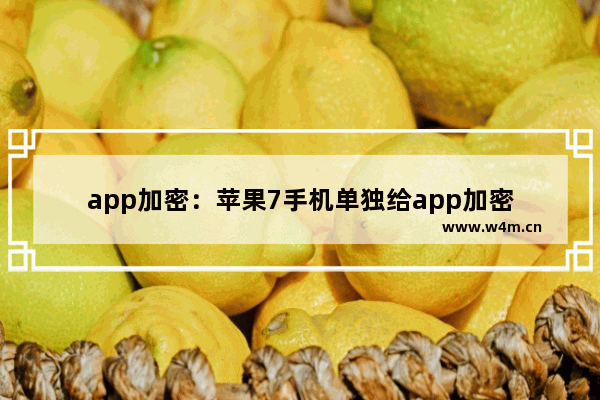 app加密：苹果7手机单独给app加密