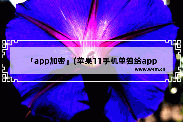 「app加密」(苹果11手机单独给app加密)