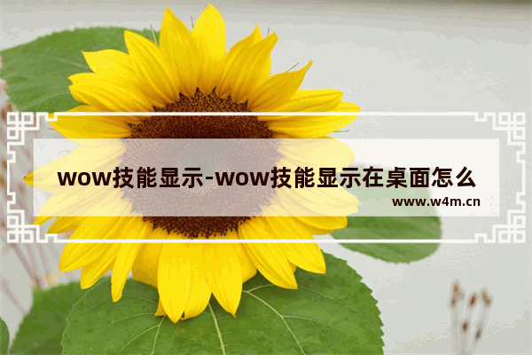 wow技能显示-wow技能显示在桌面怎么删除