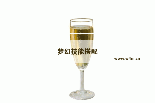 梦幻技能搭配