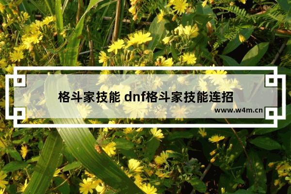 格斗家技能 dnf格斗家技能连招