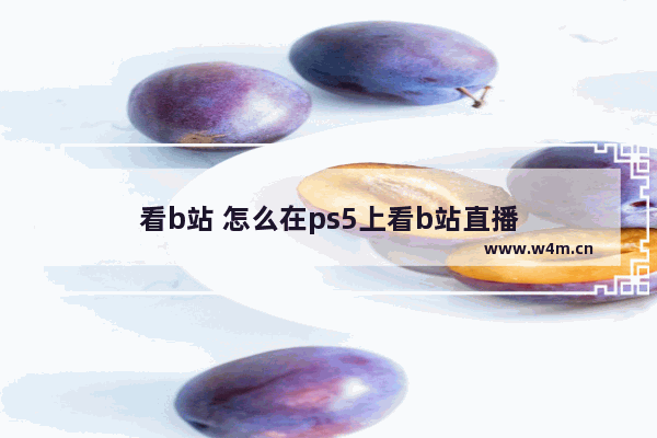 看b站 怎么在ps5上看b站直播