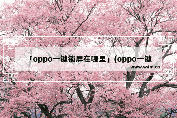 「oppo一键锁屏在哪里」(oppo一键锁屏在哪里开启)